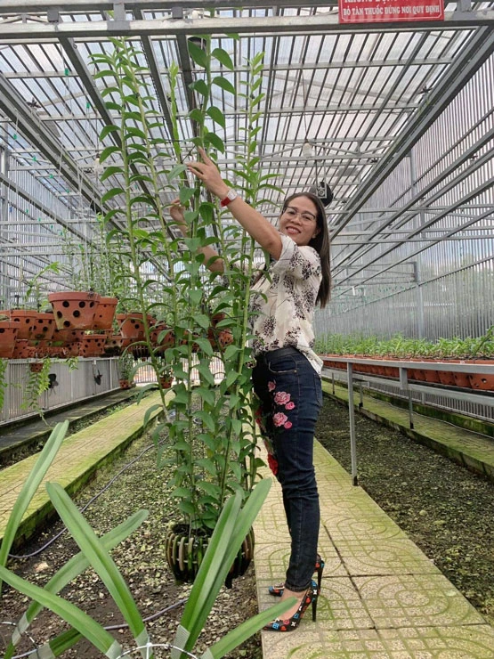 Phong lan Trâm Anh - Địa chỉ lan Var, lan Kiếm, lan Yến...Uy tín, chất lượng