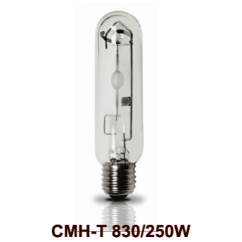 Bóng đèn Rạng Đông - Đèn cao áp 250W CMH-T 830/250W Metal Halide - ĐẤT VÀNG