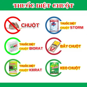 Thuốc diệt chuột biorat chỉ dành riêng cho chuột các con vật khác không có tác dụng - ĐẤT VÀNG